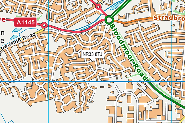 NR33 8TJ map - OS VectorMap District (Ordnance Survey)