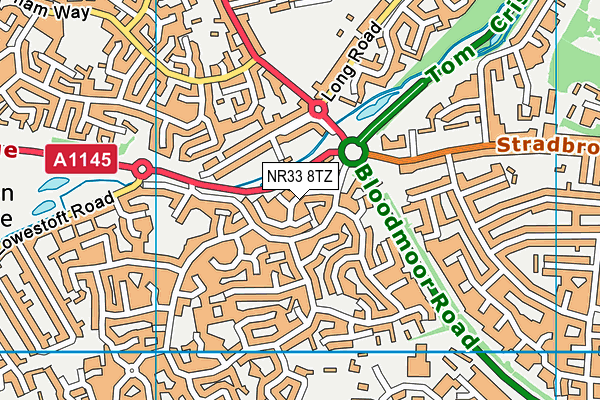 NR33 8TZ map - OS VectorMap District (Ordnance Survey)