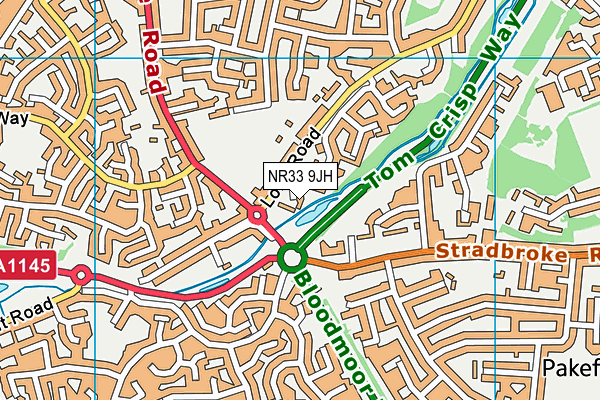 NR33 9JH map - OS VectorMap District (Ordnance Survey)