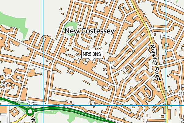 NR5 0NS map - OS VectorMap District (Ordnance Survey)