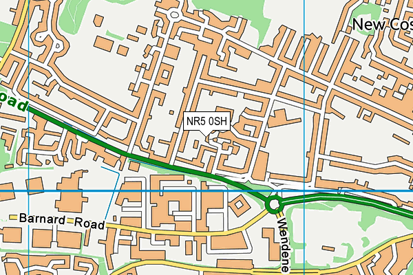 NR5 0SH map - OS VectorMap District (Ordnance Survey)