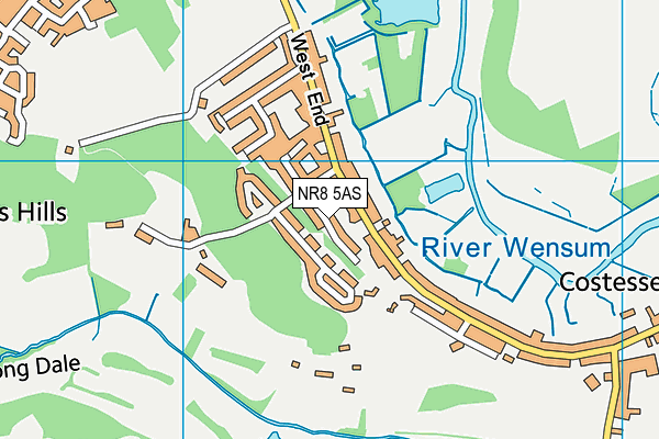 NR8 5AS map - OS VectorMap District (Ordnance Survey)