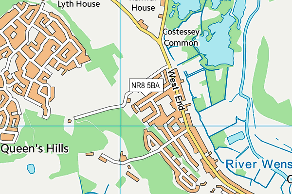 NR8 5BA map - OS VectorMap District (Ordnance Survey)