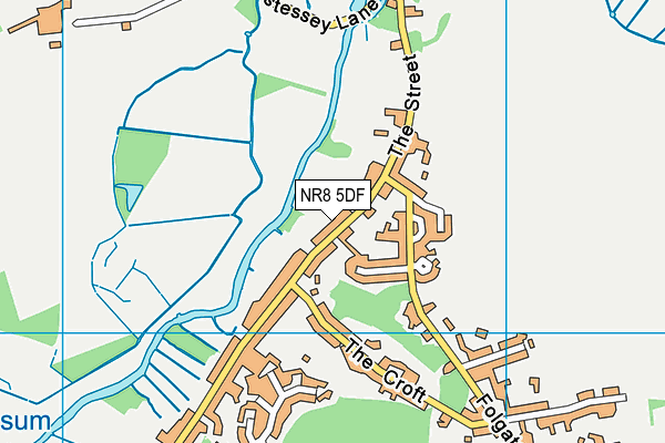 NR8 5DF map - OS VectorMap District (Ordnance Survey)