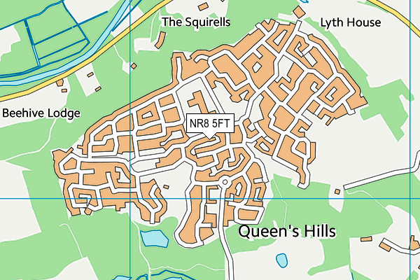 Queen's Hill Primary School map (NR8 5FT) - OS VectorMap District (Ordnance Survey)