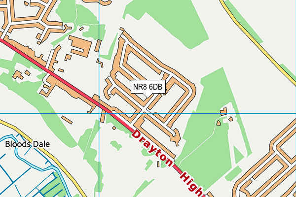 NR8 6DB map - OS VectorMap District (Ordnance Survey)