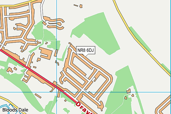 NR8 6DJ map - OS VectorMap District (Ordnance Survey)