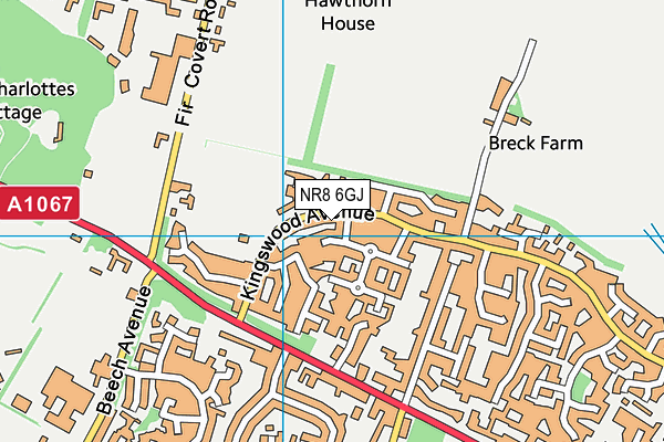 Hinks Meadow map (NR8 6GJ) - OS VectorMap District (Ordnance Survey)