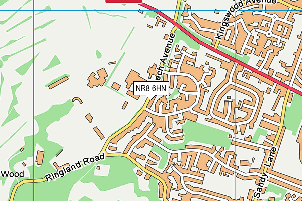 Beech Avenue Sports Ground map (NR8 6HN) - OS VectorMap District (Ordnance Survey)