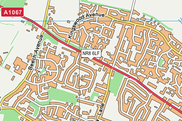NR8 6LF map - OS VectorMap District (Ordnance Survey)