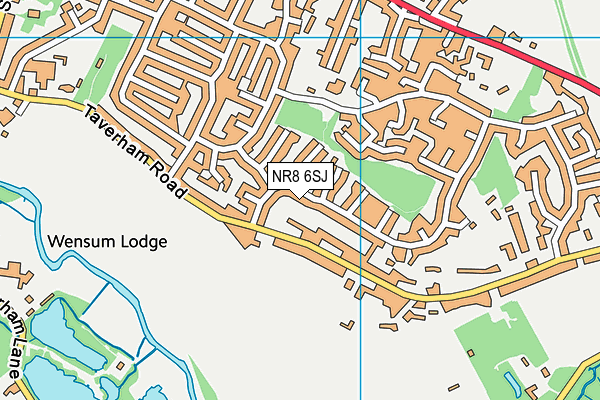 NR8 6SJ map - OS VectorMap District (Ordnance Survey)