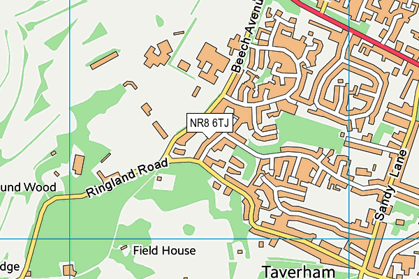 NR8 6TJ map - OS VectorMap District (Ordnance Survey)