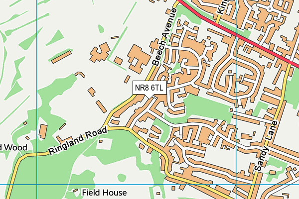 NR8 6TL map - OS VectorMap District (Ordnance Survey)