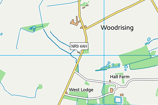 NR9 4AH map - OS VectorMap District (Ordnance Survey)