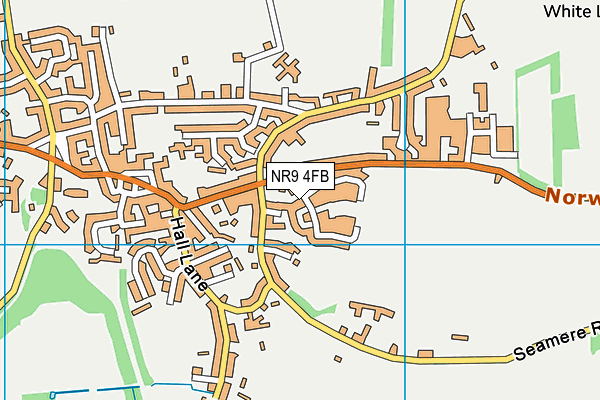 NR9 4FB map - OS VectorMap District (Ordnance Survey)