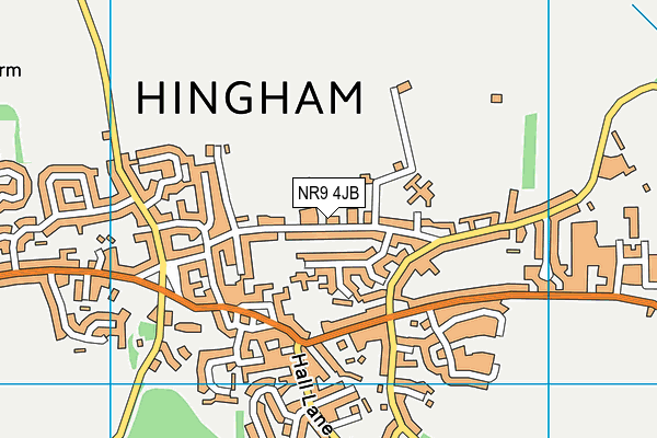 Hingham Primary School map (NR9 4JB) - OS VectorMap District (Ordnance Survey)