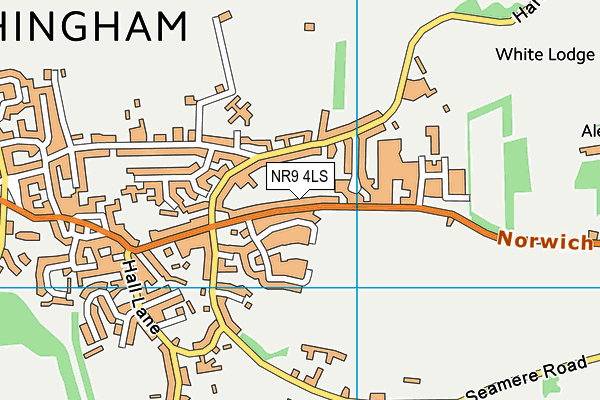 NR9 4LS map - OS VectorMap District (Ordnance Survey)