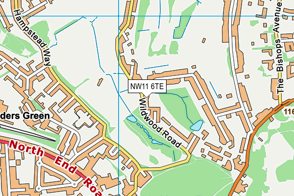 NW11 6TE map - OS VectorMap District (Ordnance Survey)