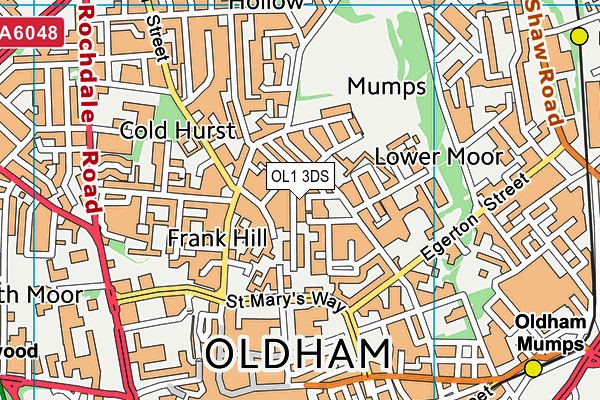 OL1 3DS map - OS VectorMap District (Ordnance Survey)