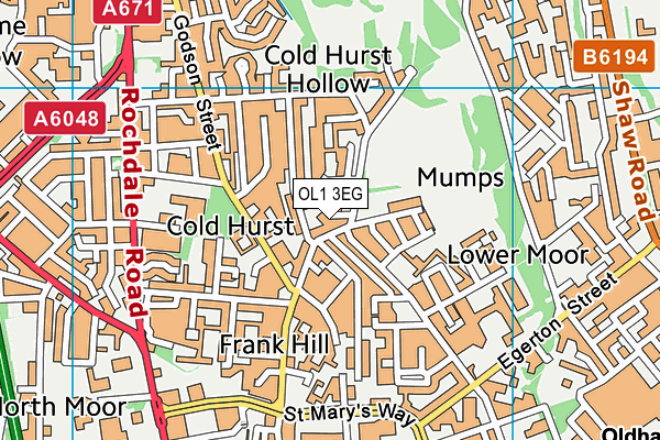 OL1 3EG map - OS VectorMap District (Ordnance Survey)