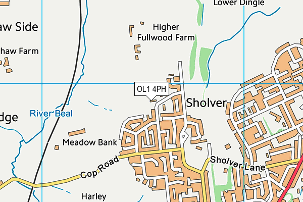 OL1 4PH map - OS VectorMap District (Ordnance Survey)