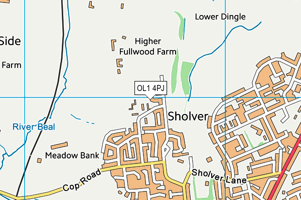OL1 4PJ map - OS VectorMap District (Ordnance Survey)