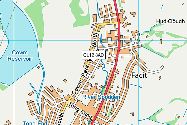 OL12 8AD map - OS VectorMap District (Ordnance Survey)