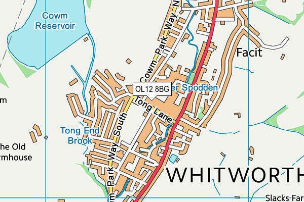 OL12 8BG map - OS VectorMap District (Ordnance Survey)