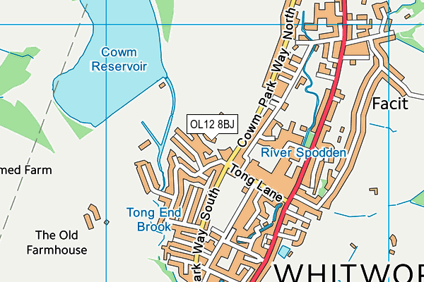 OL12 8BJ map - OS VectorMap District (Ordnance Survey)