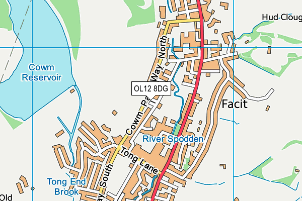 OL12 8DG map - OS VectorMap District (Ordnance Survey)