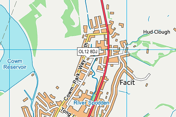 OL12 8DJ map - OS VectorMap District (Ordnance Survey)