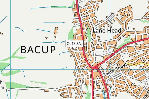 OL13 8AJ map - OS VectorMap District (Ordnance Survey)