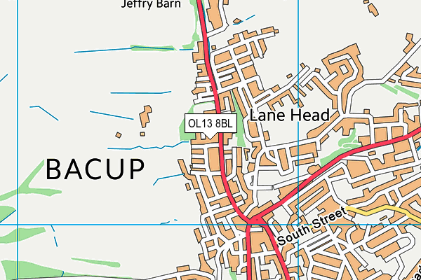 OL13 8BL map - OS VectorMap District (Ordnance Survey)