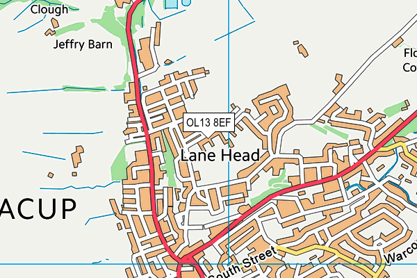 Thorn Primary School map (OL13 8Ef) - OS VectorMap District (Ordnance Survey)