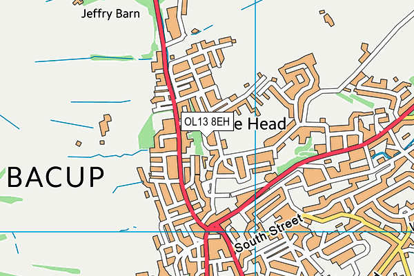 OL13 8EH map - OS VectorMap District (Ordnance Survey)