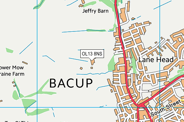 OL13 8NS map - OS VectorMap District (Ordnance Survey)