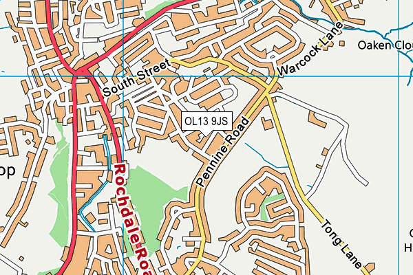 OL13 9JS map - OS VectorMap District (Ordnance Survey)