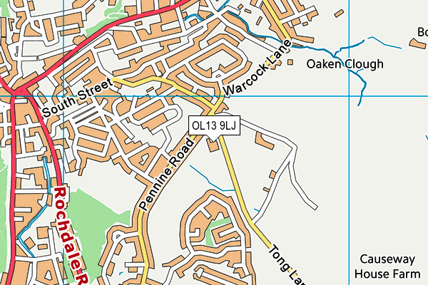 St Mary's Roman Catholic Primary School, a Voluntary Academy map (OL13 9LJ) - OS VectorMap District (Ordnance Survey)