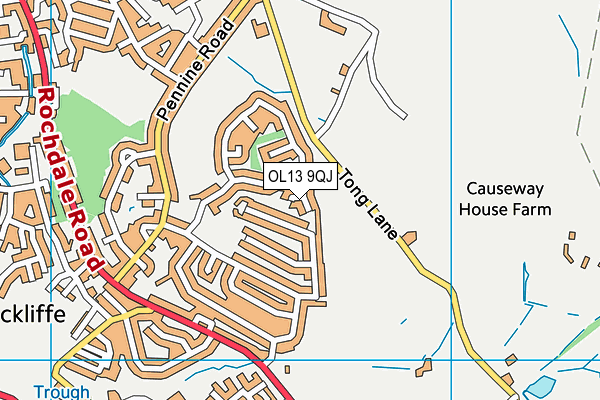 OL13 9QJ map - OS VectorMap District (Ordnance Survey)