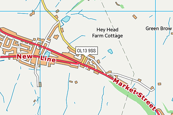 OL13 9SS map - OS VectorMap District (Ordnance Survey)