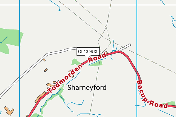 OL13 9UX map - OS VectorMap District (Ordnance Survey)