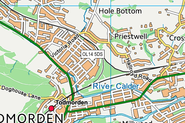 OL14 5DS map - OS VectorMap District (Ordnance Survey)