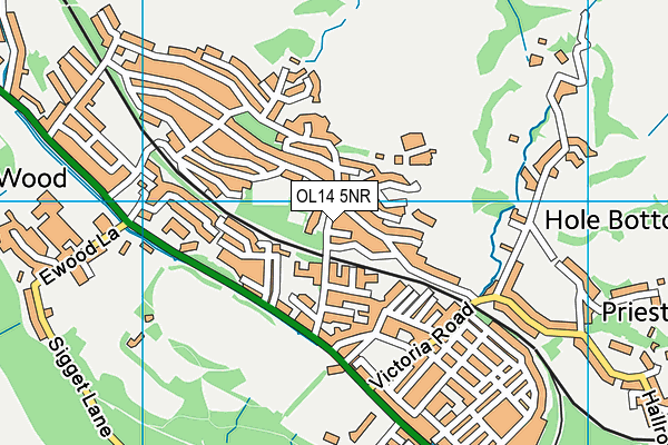 Ferney Lee Primary School map (OL14 5NR) - OS VectorMap District (Ordnance Survey)