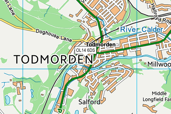 OL14 6DS map - OS VectorMap District (Ordnance Survey)