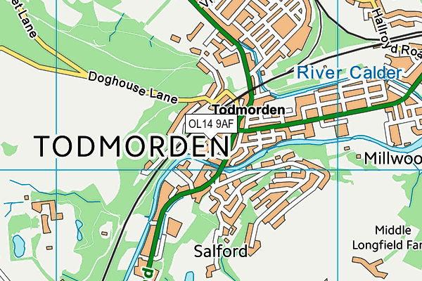 OL14 9AF map - OS VectorMap District (Ordnance Survey)