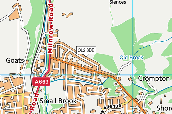 OL2 8DE map - OS VectorMap District (Ordnance Survey)