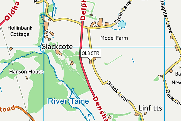 Friarmere Cricket Club map (OL3 5TR) - OS VectorMap District (Ordnance Survey)