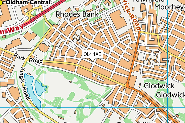 OL4 1AE map - OS VectorMap District (Ordnance Survey)