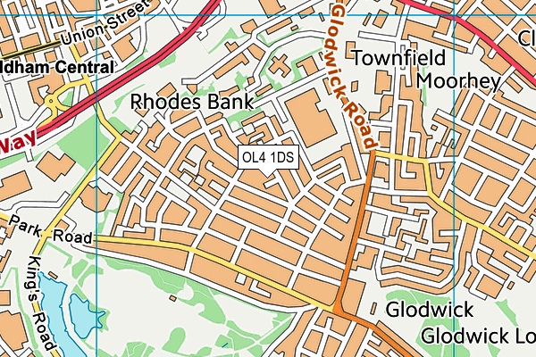 OL4 1DS map - OS VectorMap District (Ordnance Survey)