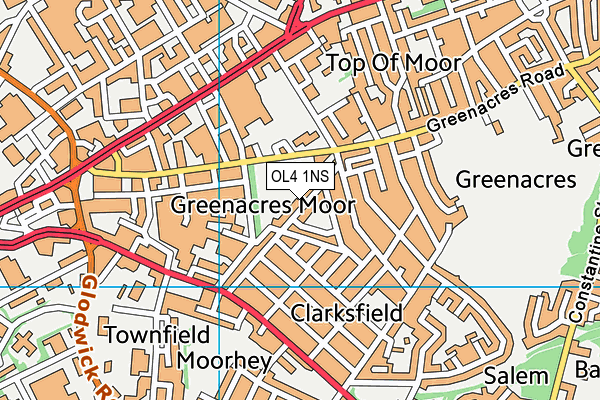 OL4 1NS map - OS VectorMap District (Ordnance Survey)